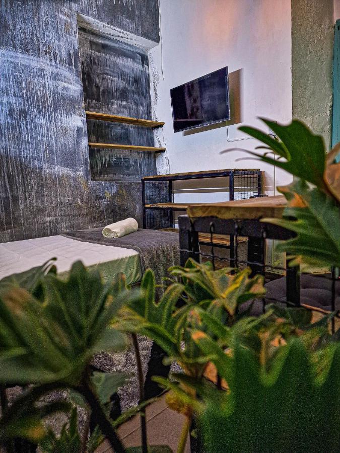Urban Hostal Bar บูการามังกา ภายนอก รูปภาพ