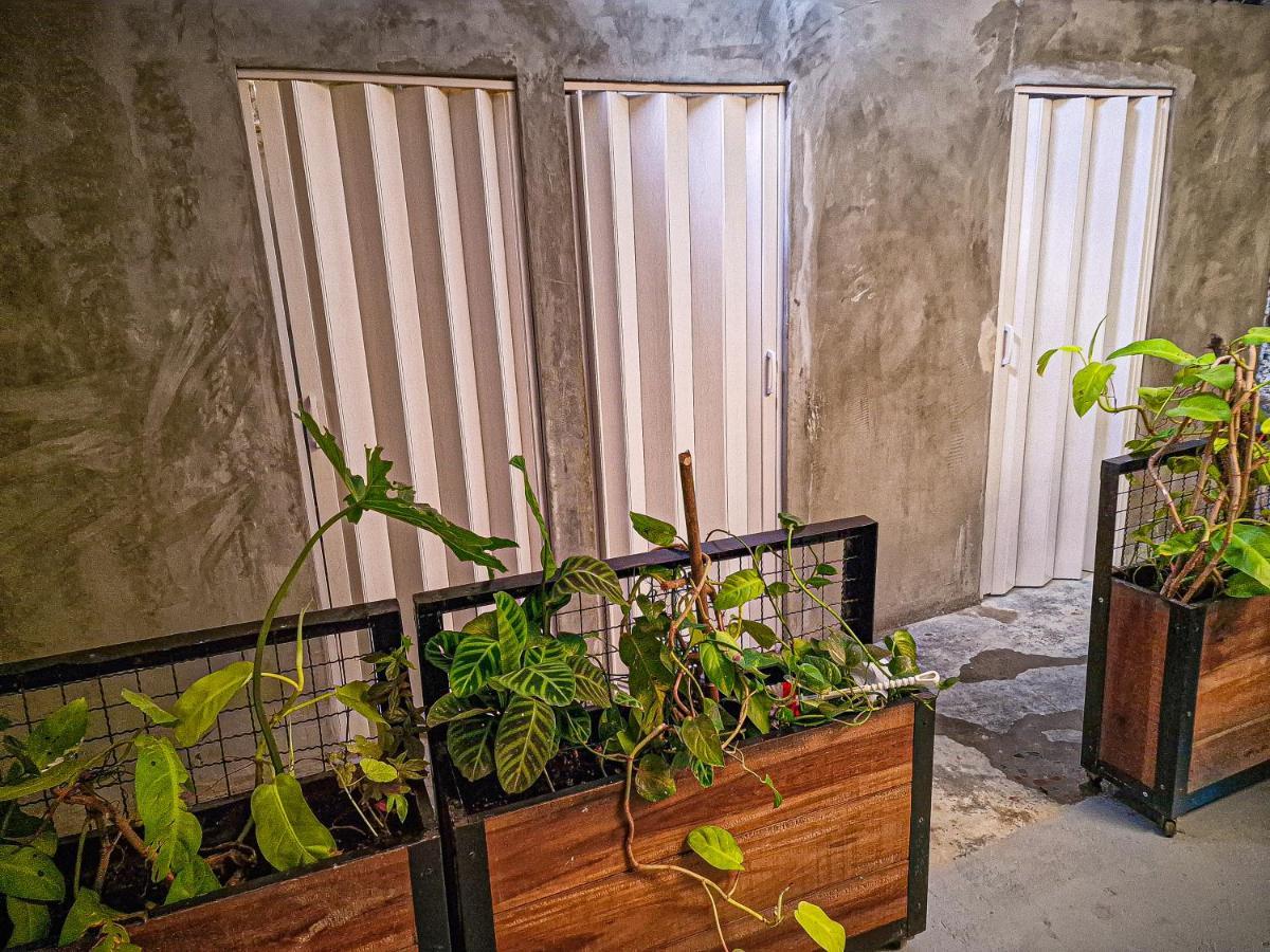 Urban Hostal Bar บูการามังกา ภายนอก รูปภาพ