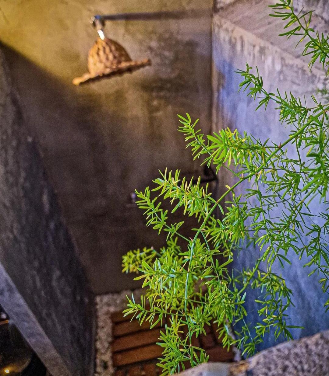 Urban Hostal Bar บูการามังกา ภายนอก รูปภาพ